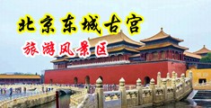 狂操美女小逼逼中国北京-东城古宫旅游风景区